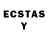 Ecstasy TESLA linkway
