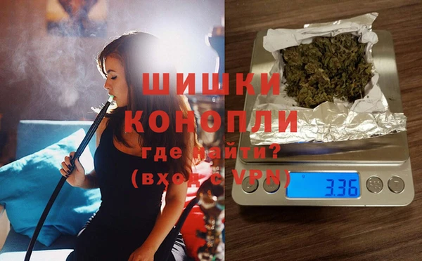прущие грибы Алексеевка
