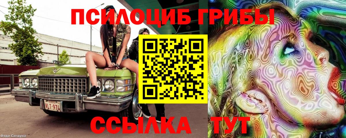 Псилоцибиновые грибы Psilocybine cubensis  Вход с VPN  Мичуринск 